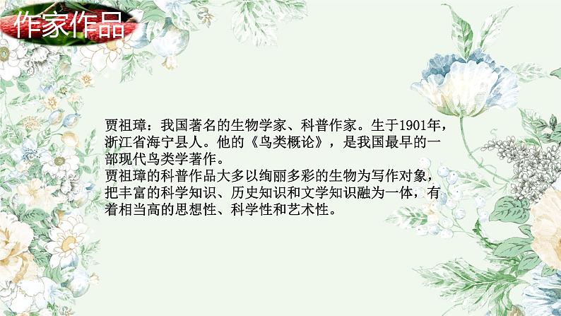 南州六月荔枝丹课件PPT第7页