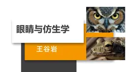 语文版中职语文拓展模块《眼睛与仿生学》PPT