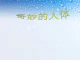 语文版中职语文拓展模块《奇妙的人体》课件