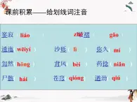 6《离太阳最近的树》课件 高教版中职语文基础模块上册