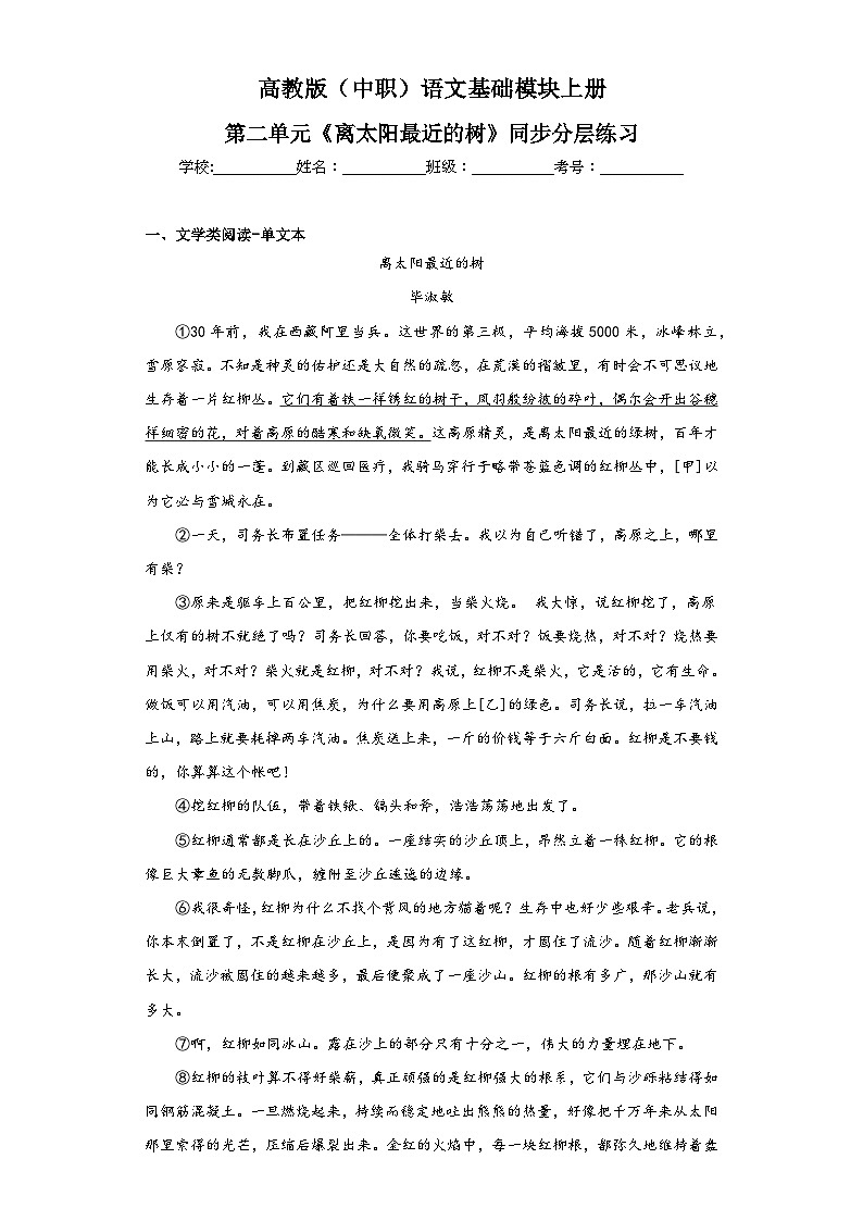 高教版(中职)语文基础模块上册第二单元《离太阳最近的树》课件+教案+同步分层练习01