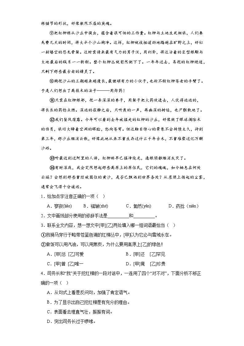 高教版(中职)语文基础模块上册第二单元《离太阳最近的树》课件+教案+同步分层练习02