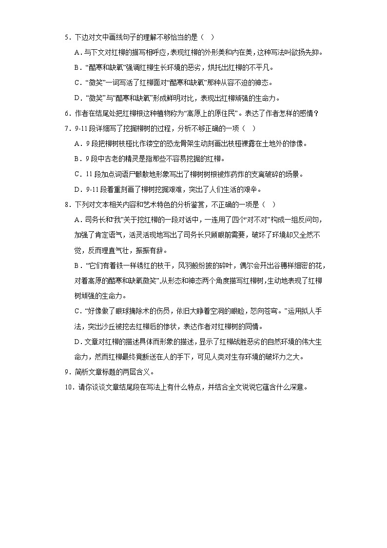 高教版(中职)语文基础模块上册第二单元《离太阳最近的树》课件+教案+同步分层练习03