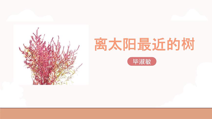 高教版（中職）語文基礎(chǔ)模塊上冊第二單元《離太陽最近的樹》課件第1頁