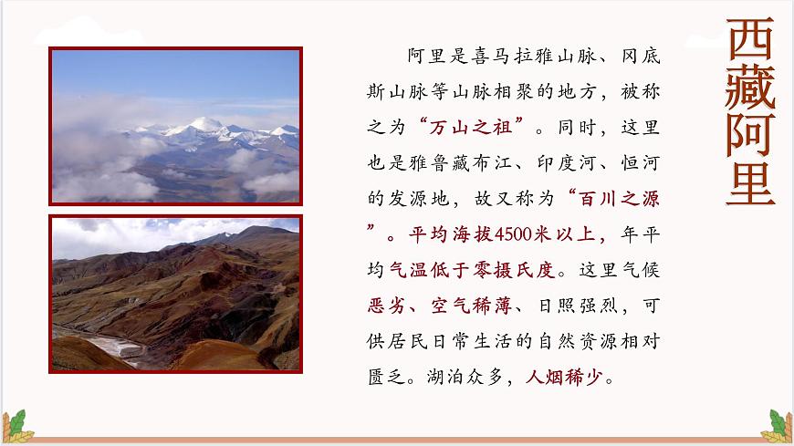 高教版（中職）語文基礎(chǔ)模塊上冊第二單元《離太陽最近的樹》課件第2頁