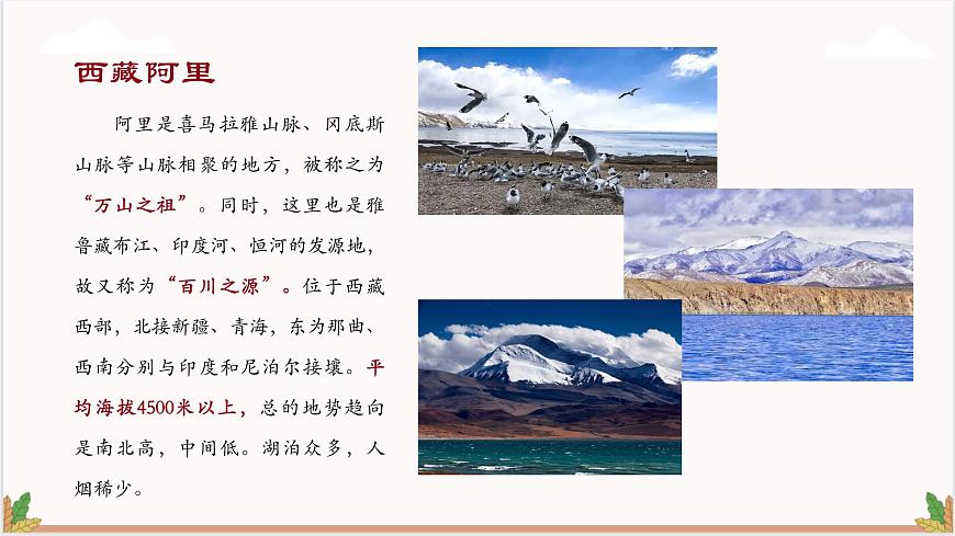 高教版（中職）語文基礎(chǔ)模塊上冊第二單元《離太陽最近的樹》課件第3頁