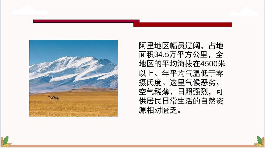 高教版（中職）語文基礎(chǔ)模塊上冊第二單元《離太陽最近的樹》課件第4頁
