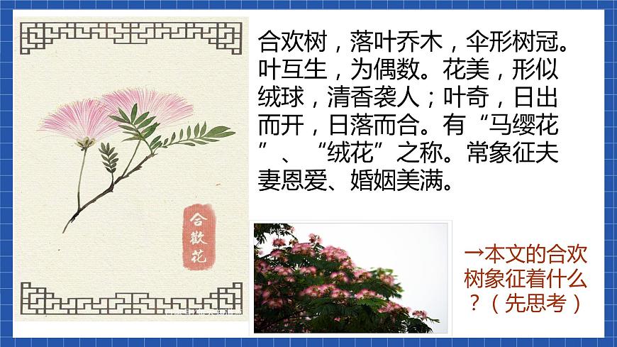 高教版（中職）語文基礎(chǔ)模塊下冊第1課《合歡樹》課件第8頁