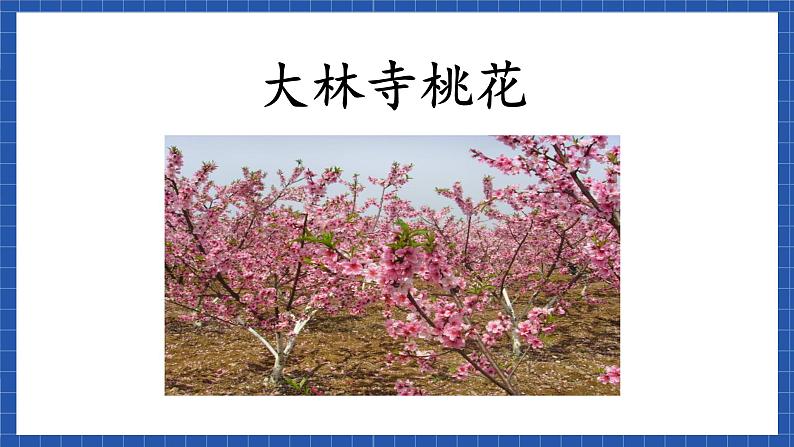 课件高教版(中职)语文基础模块下册《大林寺桃花》 课件07