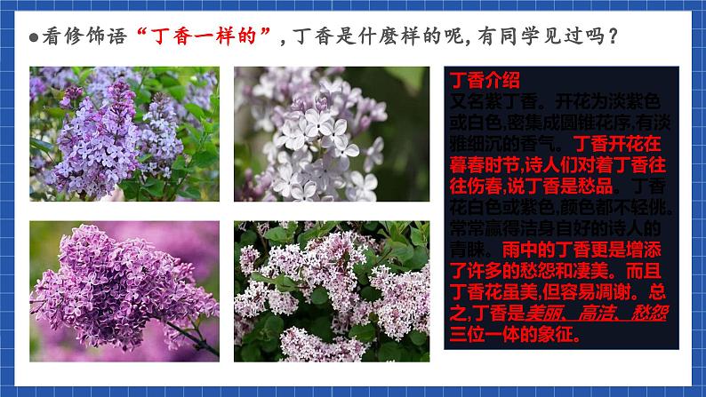 高教版(中职)语文基础模块下册《雨巷》 课件07