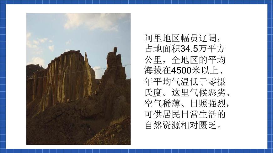 中職語文高級版2.6 《離太陽最近的樹》課件第5頁