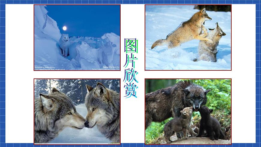 中職語文高級版2.7 《像山那樣思考》課件第4頁