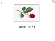高教版（中職）語文基礎(chǔ)模塊上冊第五單元《國家的兒子》課件+教案+同步分層練習(xí)