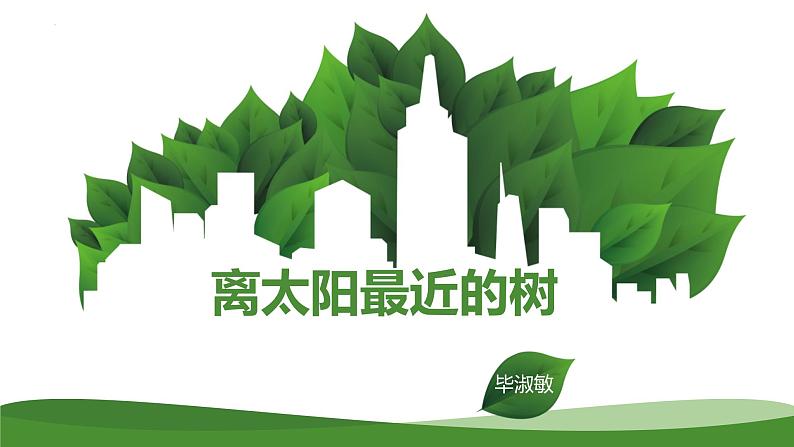 《离太阳最近的树》课件 高教版中职语文基础模块上册01
