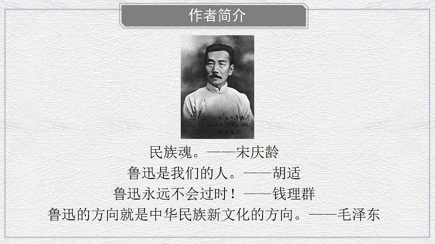 部編高教版 中職語文 基礎(chǔ)模塊下冊 3-1祝福 （課件）第7頁