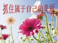 【高教版】中职语文拓展模块：《抓住属于自己的美丽》ppt课件