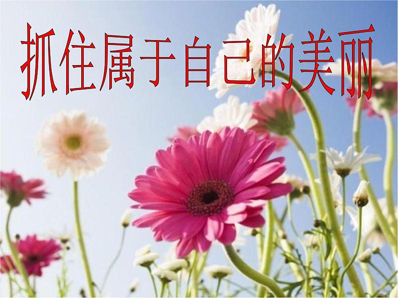 【高教版】中职语文拓展模块:《抓住属于自己的美丽》ppt课件01