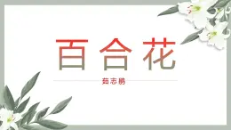 《百合花》课件 高教版中职语文基础模块下册