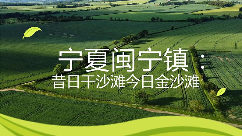 宁夏闽宁镇:昔日干沙滩-今日金沙滩 课件 高教版(2023)中职语文职业模块01
