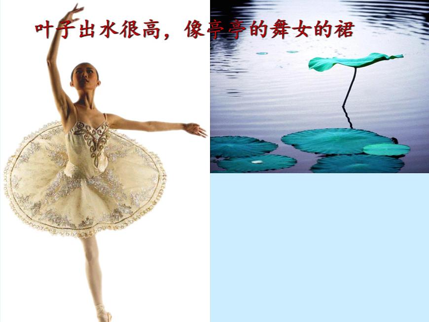 2.2《荷塘月色》課件2023—2024學(xué)年高教版（2023）中職語文基礎(chǔ)模塊上冊第7頁