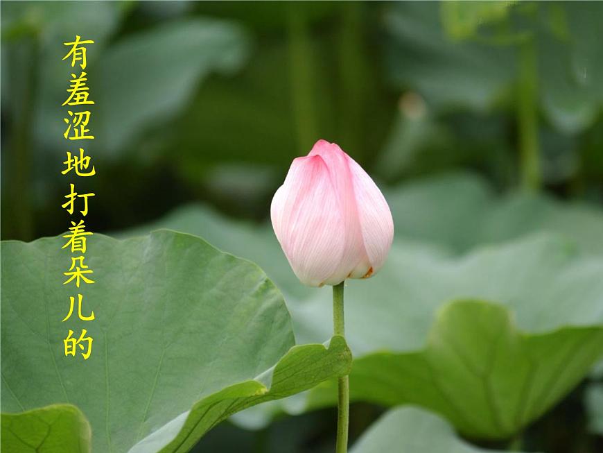 2.2《荷塘月色》課件2023—2024學(xué)年高教版（2023）中職語文基礎(chǔ)模塊上冊第8頁