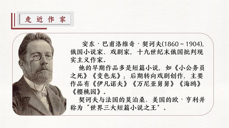 部编高教版 中职语文 基础模块下册 3-2※《套中人》(ppt课件)05