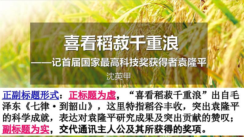 基础模块上册5-2《喜看稻菽千重浪》(ppt课件)04