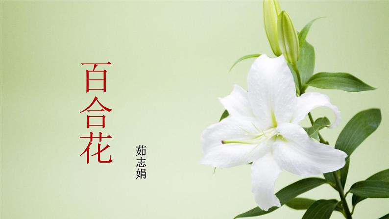 1_《百合花》-【中职专用】高一语文同步精讲精读课件(高教版2023·基础模块下册)第1页