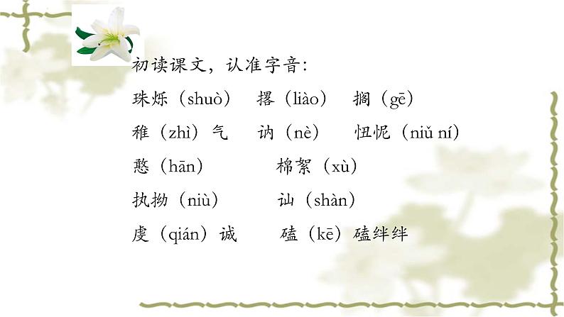 1_《百合花》-【中职专用】高一语文同步精讲精读课件(高教版2023·基础模块下册)第5页