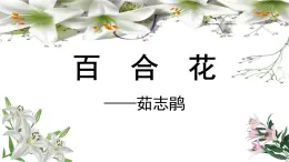 《百合花》课件-【中职专用】高一语文同步精品课堂（高教版2023·基础模块下册）