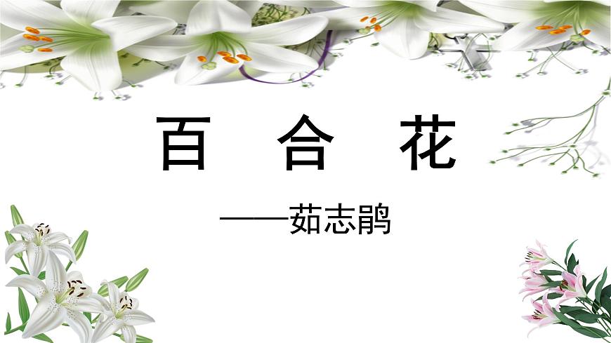 《百合花》課件-【中職專用】高一語文同步精品課堂（高教版2023·基礎(chǔ)模塊下冊）第1頁