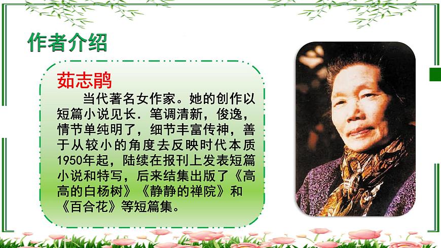 《百合花》課件-【中職專用】高一語文同步精品課堂（高教版2023·基礎(chǔ)模塊下冊）第4頁