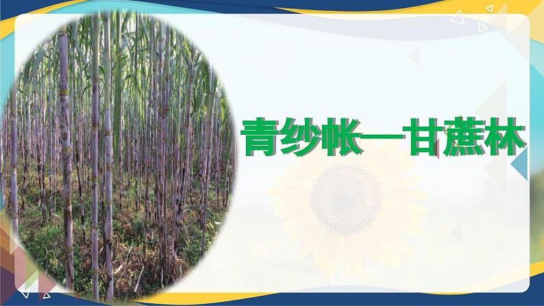 《青纱帐——甘蔗林》课件-【中职专用】高一语文第1页