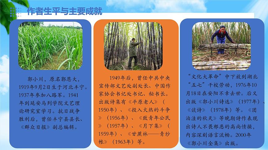 《青紗帳——甘蔗林》-2023-2024學(xué)年高一基礎(chǔ)模塊下冊同步備課教學(xué)課件（高教版2023）第5頁