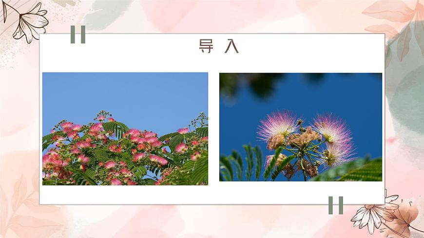 高教版+中職語文+基礎(chǔ)模塊下冊(cè)01合歡樹-課件第3頁