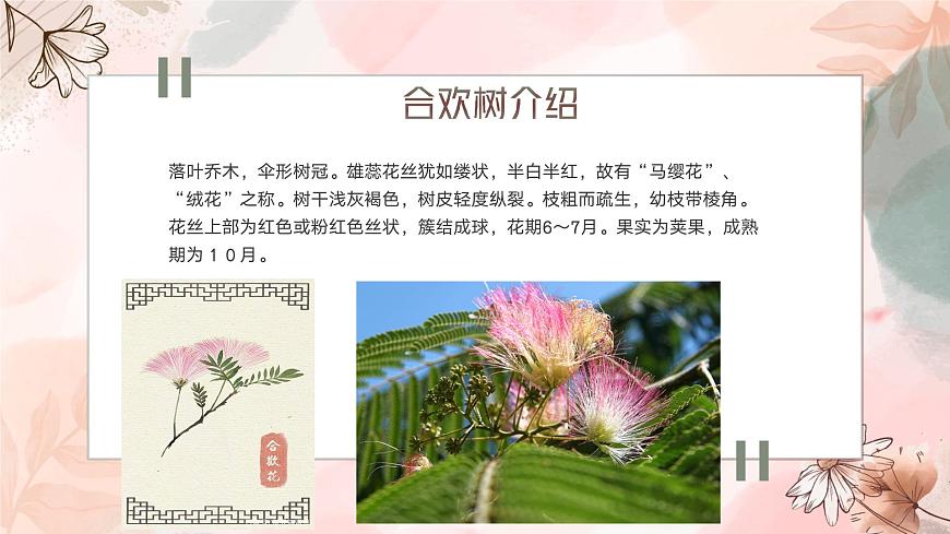 高教版+中職語文+基礎(chǔ)模塊下冊(cè)01合歡樹-課件第5頁