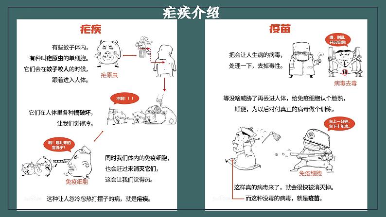 6.1《青蒿素:人类征服疾病的一小步》课件++2023—2024学年高教版(2023)中职语文基础模块下册04