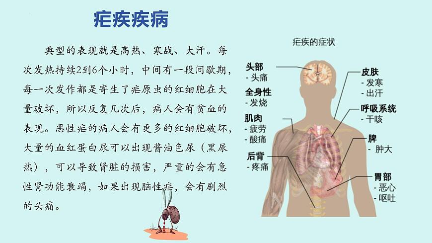 《青蒿素：人類征服疾病的一小步》-【中職專用】高一語文公開課堂課件（高教版2023基礎(chǔ)模塊下冊）第4頁