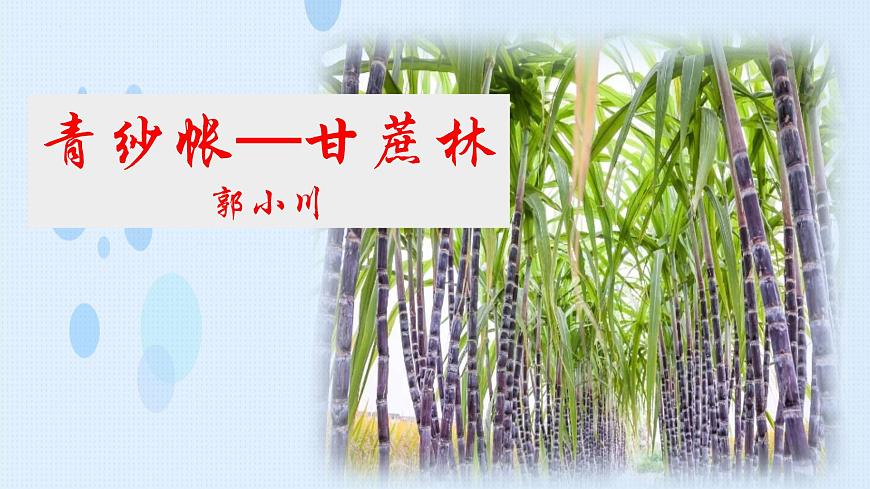 《青紗帳——甘蔗林》-【中職專用】高一語文課件（高教版2023基礎模塊下冊）第1頁