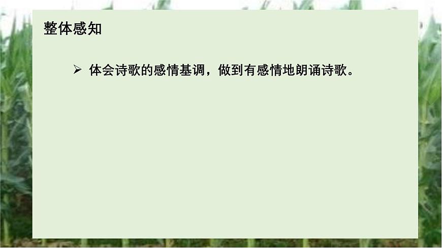《青紗帳——甘蔗林》-【中職專用】高一語文課件（高教版2023基礎模塊下冊）第5頁