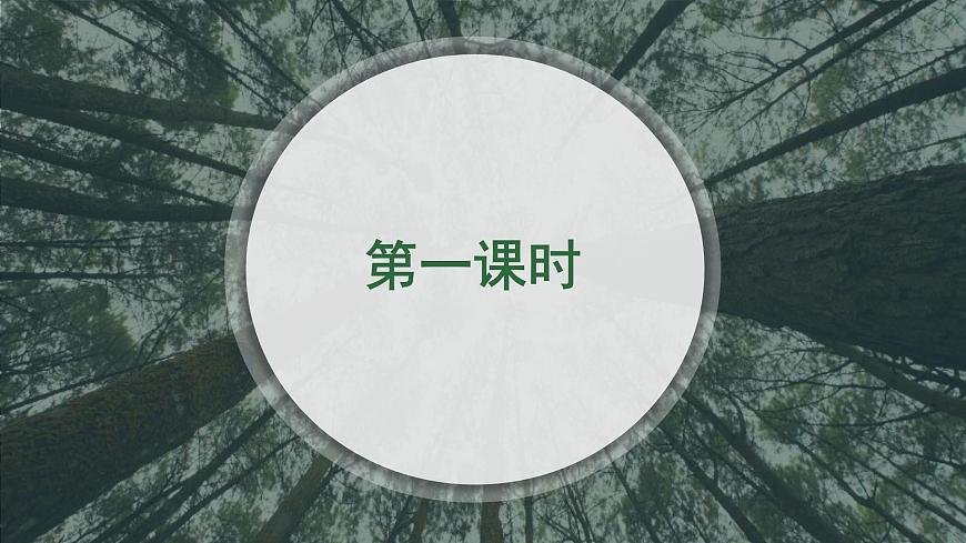 《祝福》課件-【中職專用】高一語文課件（高教版2023·基礎(chǔ)模塊下冊）第7頁