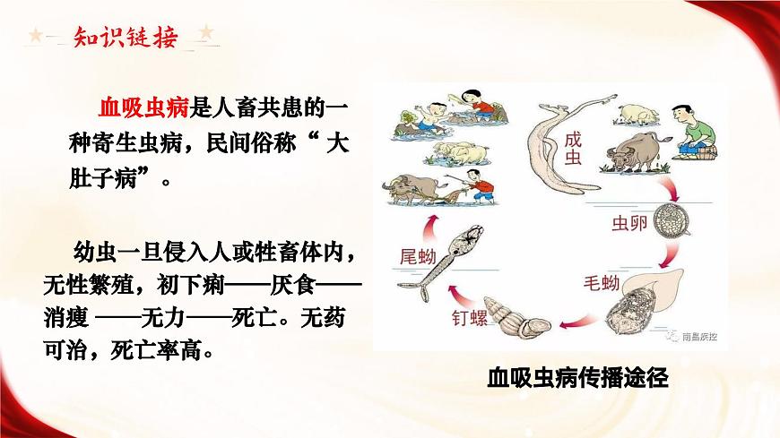 1.1《七律二首·送瘟神》 課件第7頁