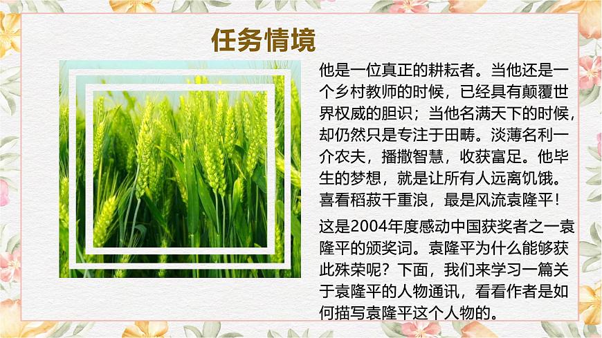 5.2《喜看稻菽千重浪》課件第4頁