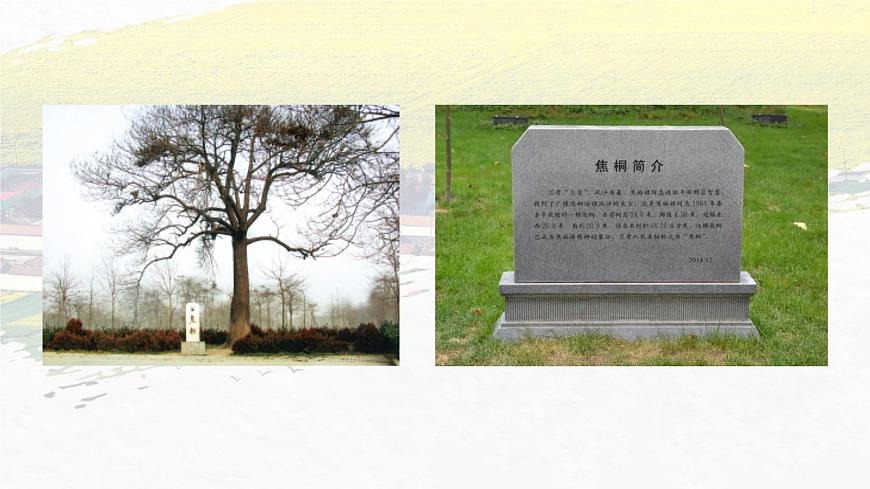 部編版（2023）中職語文基礎(chǔ)模塊上冊5.1《縣委書記的榜樣——焦裕祿》課件第2頁