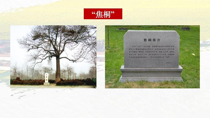 部編版（2023）中職語文基礎(chǔ)模塊上冊5.1《縣委書記的榜樣——焦裕祿》課件第3頁
