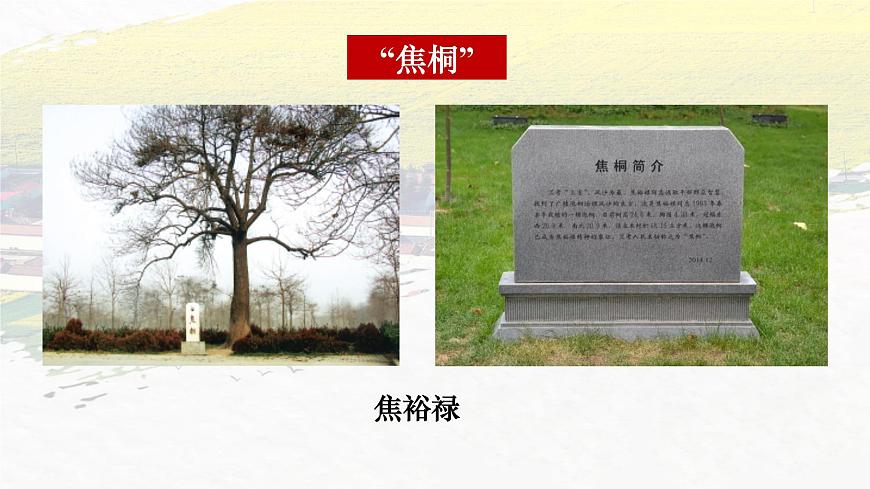 部編版（2023）中職語文基礎(chǔ)模塊上冊5.1《縣委書記的榜樣——焦裕祿》課件第4頁