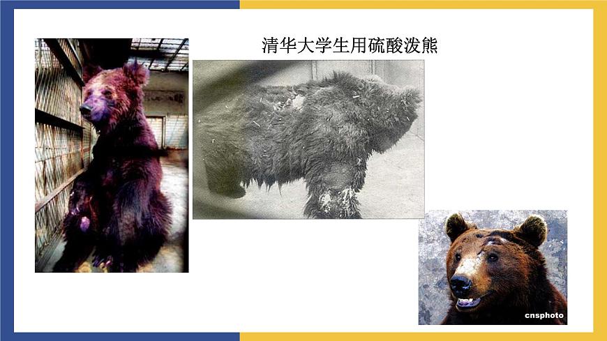 【中職課件】高教版中職語(yǔ)文職業(yè)模塊工科類 第3課《人格是最高的學(xué)位》課件（2）第3頁(yè)