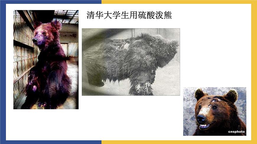 【中職課件】高教版中職語文職業(yè)模塊工科類 第3課《人格是最高的學(xué)位》課件（3）第6頁