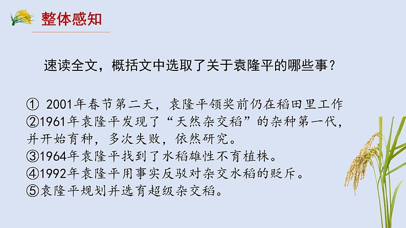 部编高教版(2023)中职语文职业模块上册《喜看稻菽千重浪》课件+学案+知识梳理06