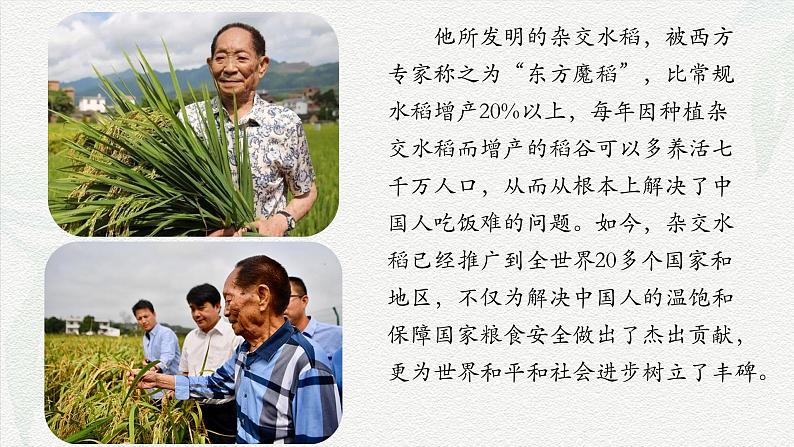《喜看稻菽千重浪》-2024-2025学年高一基础模块上册同步备课教学课件(高教版2023)05